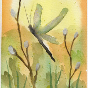 Dragonfly Playground