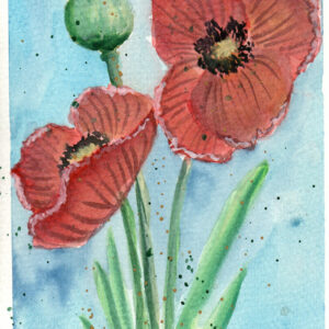 Poppies in the Breeze