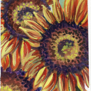 Triple Sunfire Serenade